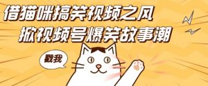 借猫咪搞笑视频之风，掀视频号爆笑故事潮，轻松日入四位数，无门槛快速入门!-淘金日记