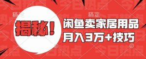 闲鱼卖家居用品月入过W+最新技巧闲鱼最新零基础教学,新手当天上手【揭秘】-淘金日记