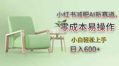 小红书减肥AI新赛道，零成本易操作，日入多张，小白轻松上手【揭秘】-淘金日记