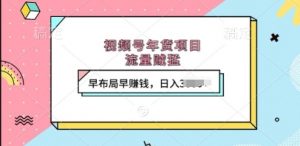 视频号年货项目，流量贼猛，早布局早挣钱，日入上k【揭秘】-淘金日记