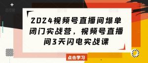 2024视频号直播间爆单闭门实战营,视频号直播间3天闪电实战课-淘金日记