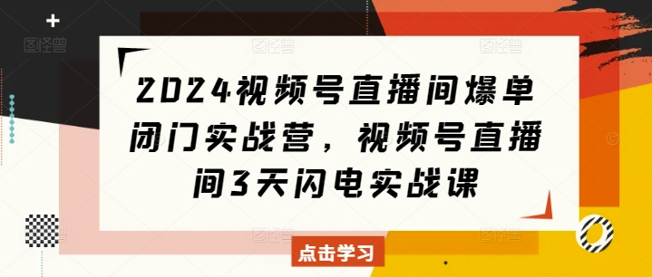 2024视频号直播间爆单闭门实战营,视频号直播间3天闪电实战课-淘金日记