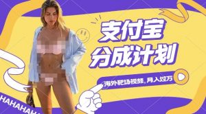 利用海外靶场射击视频，挣支付宝分成收益，轻松月入过W【揭秘】-淘金日记