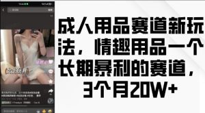 成人用品赛道新玩法，情趣用品一个长期暴利的赛道，3个月收益20个【揭秘】-淘金日记