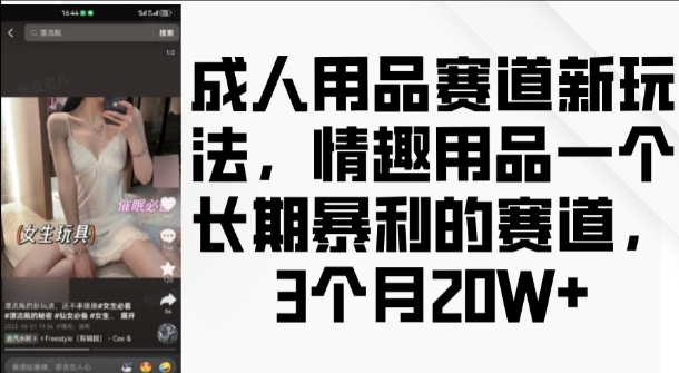 成人用品赛道新玩法，情趣用品一个长期暴利的赛道，3个月收益20个【揭秘】-淘金日记