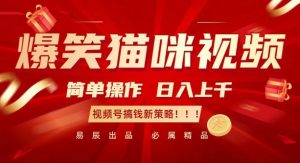 爆笑猫咪视频:简单操作,日入过K,视频号搞钱新策略【揭秘】-淘金日记
