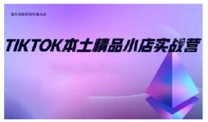 TikTok本土精品小店出海实战营,从入门到高阶,不止0-1!-淘金日记