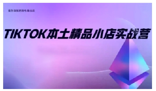 TikTok本土精品小店出海实战营,从入门到高阶,不止0-1!-淘金日记