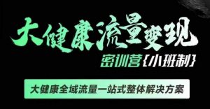 千万级大健康变现课线下课,大健康全域流量一站式整体解决方案-淘金日记