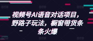 视频号AI语音对话项目，野路子玩法，橱窗带货条条火爆-淘金日记