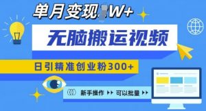 无脑搬运视频号可批量复制,新手即可操作,日引精准创业粉300+,月变现过W 【揭秘】-淘金日记