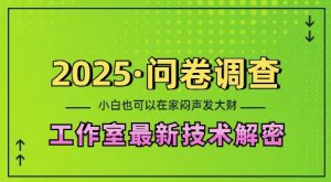 2025问卷调查最新工作室技术解密:一个人在家也可以闷声发大财,小白一天2张,可矩阵放大【揭秘】-淘金日记