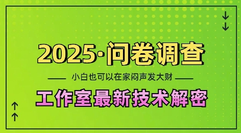 2025问卷调查最新工作室技术解密:一个人在家也可以闷声发大财,小白一天2张,可矩阵放大【揭秘】-淘金日记