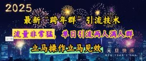 最新“跨年群”引流，流量非常猛，单日引流两人满人群，立马操作立马见效【揭秘】-淘金日记