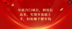 年底冷门项目,利用信息差,实现零基础上手,轻松赚个肥年钱【揭秘】-淘金日记