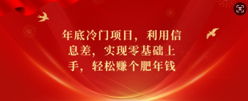 年底冷门项目,利用信息差,实现零基础上手,轻松赚个肥年钱【揭秘】-淘金日记