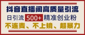 抖音直播间引流创业粉，无需连麦、不用上镜、超暴力，日引流500+高质量精准创业粉-淘金日记