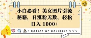 小白必看,美女图片引流秘籍,日涨粉无数,轻松日入几张【揭秘】-淘金日记