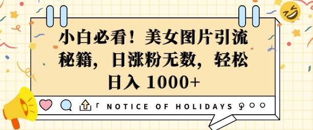 小白必看,美女图片引流秘籍,日涨粉无数,轻松日入几张【揭秘】-淘金日记