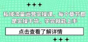 私域流量运营实操课,每个章节都是实操干货,学完就能上手-淘金日记
