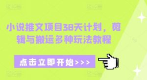 小说推文项目38天计划，剪辑与搬运多种玩法教程-淘金日记
