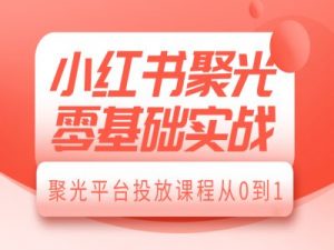 小红书聚光零基础实战，聚光平台投放课程从0到1-淘金日记
