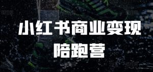 小红书商业变现陪跑营，小红书电商教程-淘金日记
