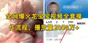 全网爆火龙宝宝视频全套操作流程,播放量2000万+-淘金日记