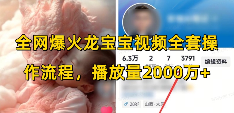 全网爆火龙宝宝视频全套操作流程,播放量2000万+-淘金日记
