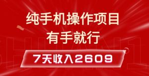 纯手机操作的小项目,有手就能做,7天收入2609+实操教程【揭秘】-淘金日记