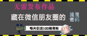 藏在微信朋友圈的流量密码，无需发布作品，单日引流100+精准创业粉【揭秘】-淘金日记