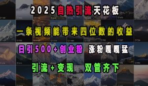 2025自热引流天花板,一条视频能带来四位数的收益,引流+变现双管齐下,日引500+创业粉,涨粉嘎嘎猛-淘金日记