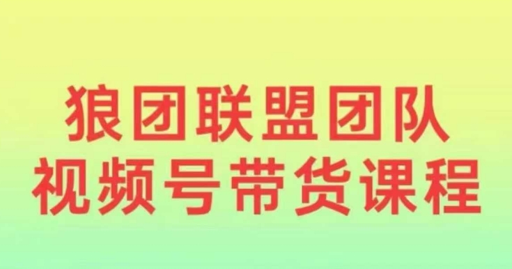 狼团联盟2024视频号带货,0基础小白快速入局视频号-淘金日记