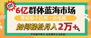6亿群体蓝海市场,零经验小白用一台电脑,如何轻松月入过w【揭秘】-淘金日记