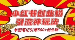 小红书创业粉引流神玩法,单图笔记引爆500+精准创业粉丝,私信狂潮接连不断-淘金日记