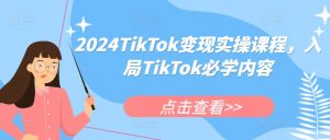 2024TikTok变现实操课程,入局TikTok必学内容-淘金日记