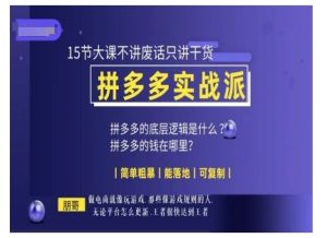 朋哥电商(拼多多实战派),15节大课不讲废话只讲干货,简单粗暴 能落地 可复制-淘金日记