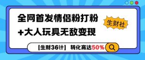 【生财36计】全网首发情侣粉打粉+大人玩具无敌变现-淘金日记