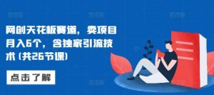 网创天花板赛道,卖项目月入6个,含独家引流技术(共26节课)-淘金日记