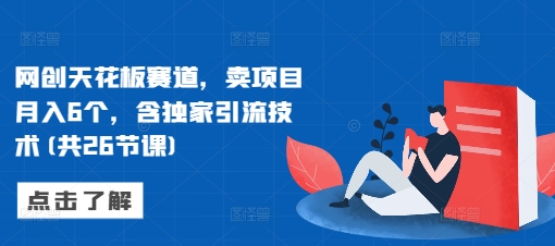 网创天花板赛道,卖项目月入6个,含独家引流技术(共26节课)-淘金日记