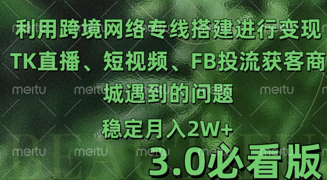 利用跨境电商网络及搭建TK直播、短视频、FB投流获客以及商城遇到的问题进行变现3.0必看版【揭秘】-淘金日记
