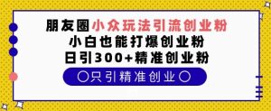 朋友圈小众玩法引流创业粉,小白也能打爆创业粉,日引300+精准创业粉【揭秘】-淘金日记