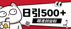 最新抖音引流创业粉,几分钟一个视频,非常暴力,小白直接可上手操作【揭秘】-淘金日记
