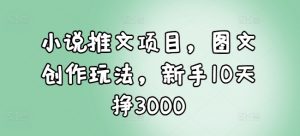 小说推文项目，图文创作玩法，新手10天挣3000-淘金日记