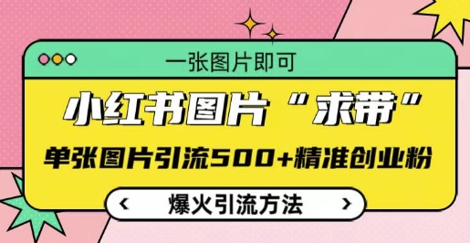 小红书图片‘求带’爆火引流法,单张图片引流500+精准创业粉【揭秘】-淘金日记