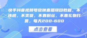 快手抖音视频号放映直播项目教程,不违规,不卖货,不靠粉丝,不靠礼物打赏,每天200-600-淘金日记