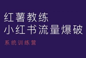 红薯教练-小红书内容运营课,小红书运营学习终点站-淘金日记