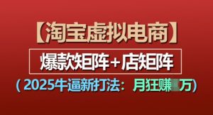 淘宝虚拟电商,2025牛逼新打法:爆款矩阵+店矩阵,月入过万-淘金日记