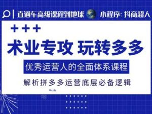 术业专攻玩转多多,优秀运营人的全面体系课程,解析拼多多运营底层必备逻辑-淘金日记