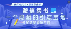 微信读书,一个隐藏的引流宝地,不为人知的小众打法,日引流300+精准创业粉,长尾流量源源不断-淘金日记